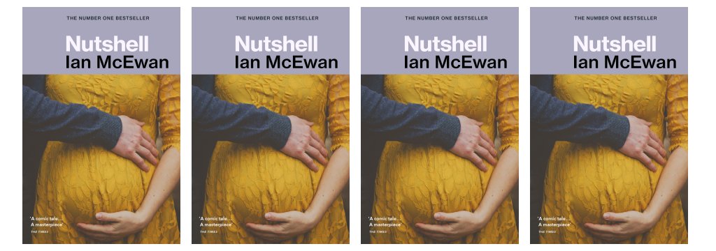 Nutshell by Ian McEwan